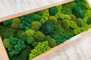 Mechoy obraz 100x40 KOPECKY 2