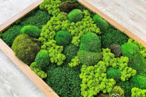 Mechový obraz 80x50 3