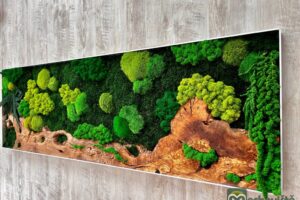 Mechový obraz s olivovým dřevem