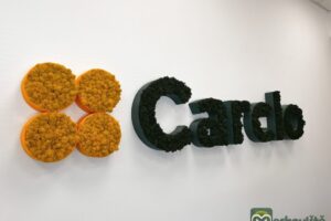 Mechové logo PÍSMENA