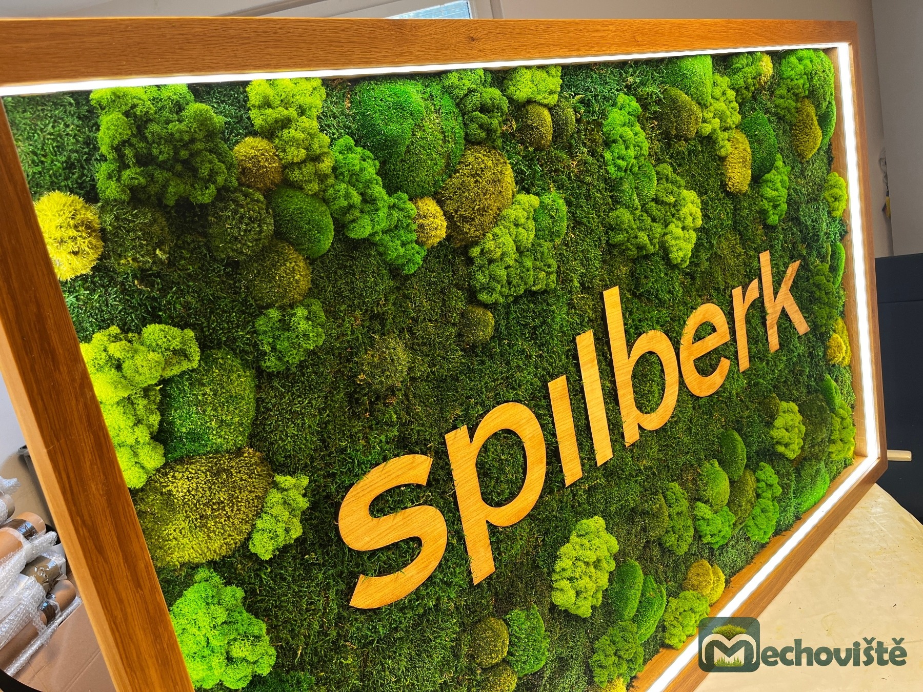 DUBOVÉ MECHOVÉ LOGO