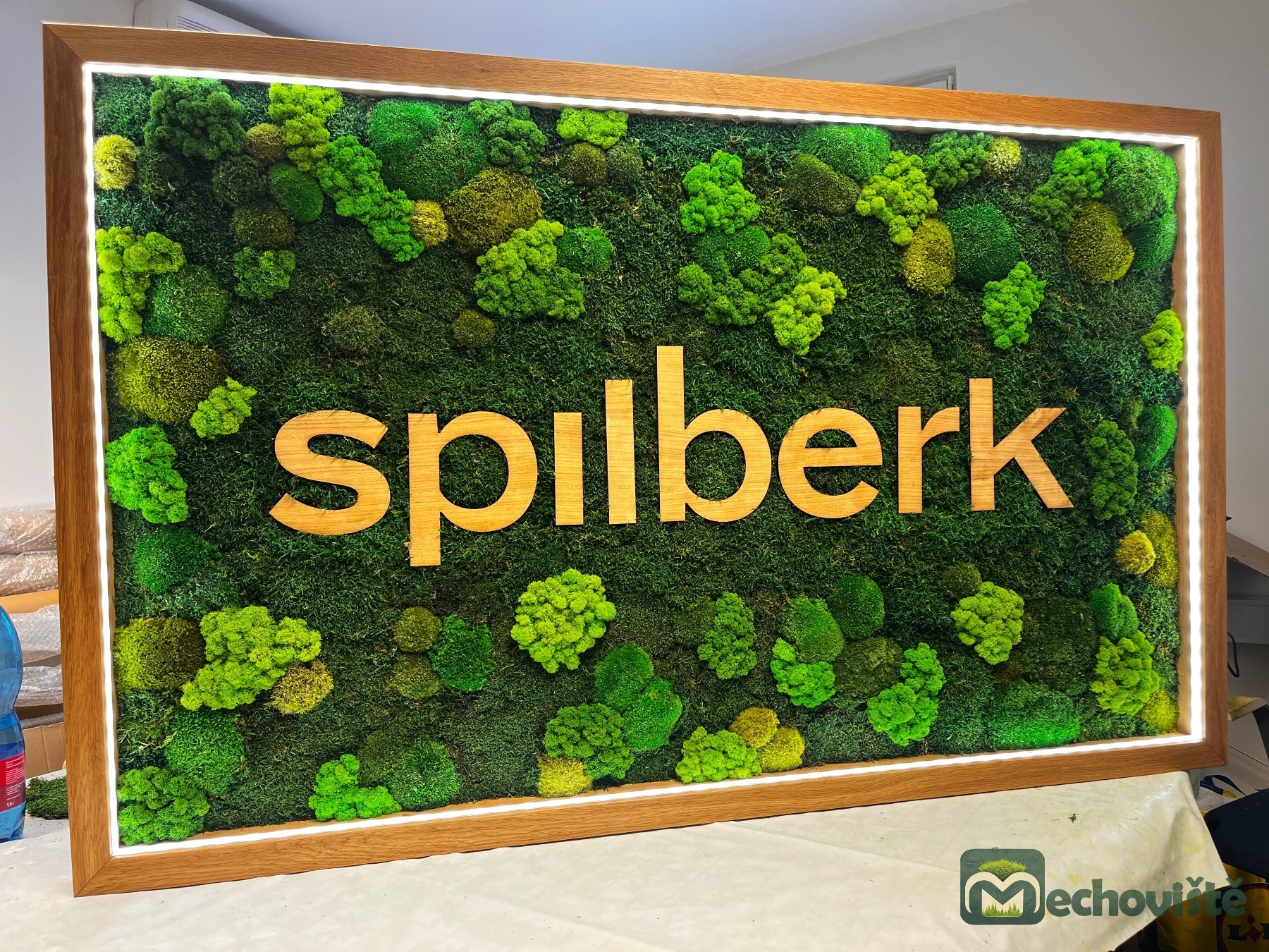 DUBOVÉ MECHOVÉ LOGO