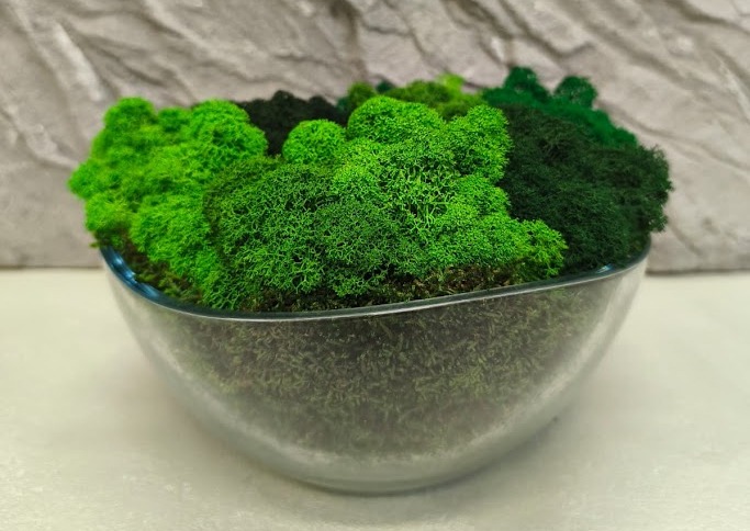 Mechová dekorace SKLO