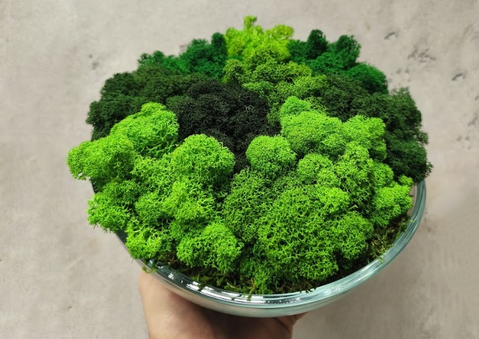 Mechová dekorace SKLO